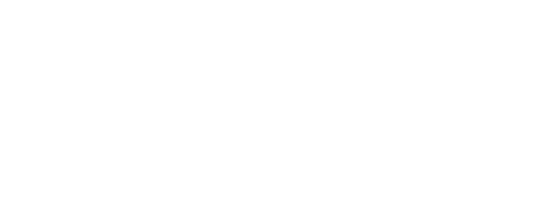 DeepSeek